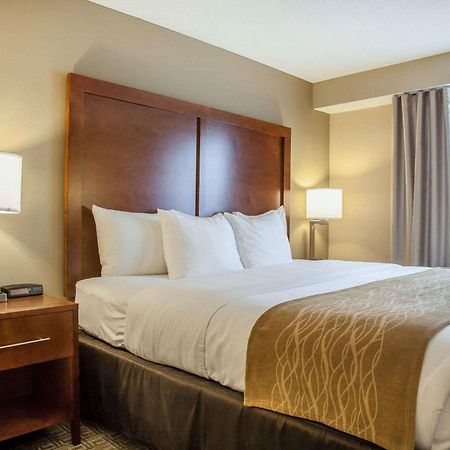 Comfort Inn & Suites Sturbridge-Brimfield Dış mekan fotoğraf