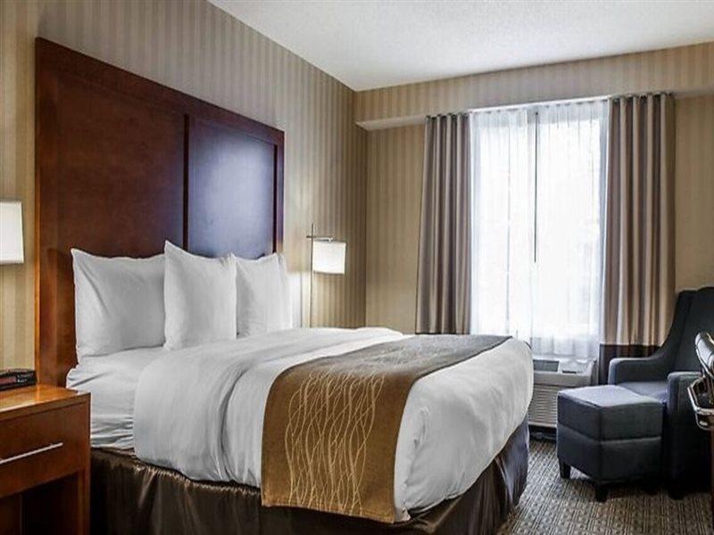 Comfort Inn & Suites Sturbridge-Brimfield Dış mekan fotoğraf